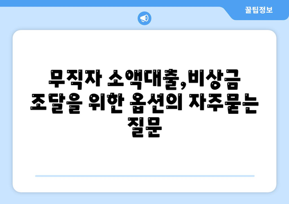 무직자 소액대출,비상금 조달을 위한 옵션