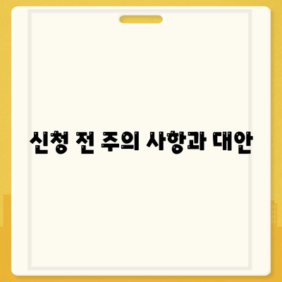 신청 전 주의 사항과 대안