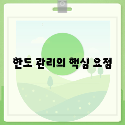 한도 관리의 핵심 요점