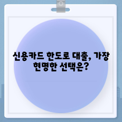 신용카드 한도 정확히 인정받는 대출 옵션