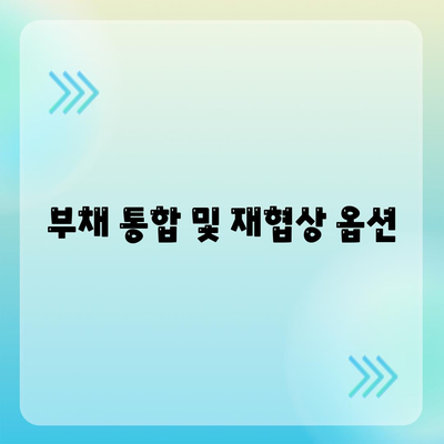 부채 통합 및 재협상 옵션