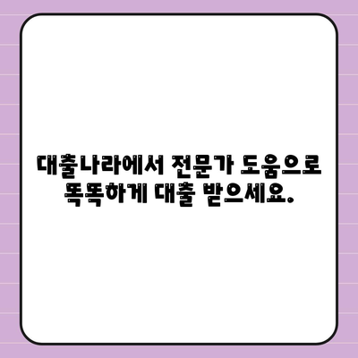 이번 대출 신청, 대출나라에서 알아보세요.