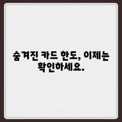 신용카드 잔여한도 정확한 인정