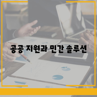 공공 지원과 민간 솔루션