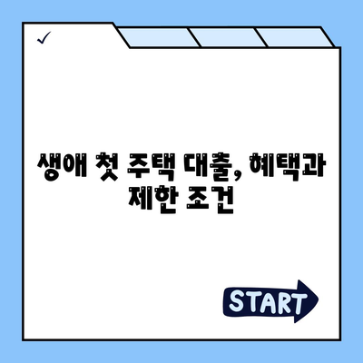 생애 첫 주택자금대출 대상 파악