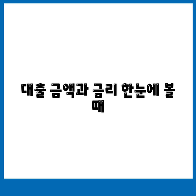 대출 금액과 금리 한눈에 볼 때