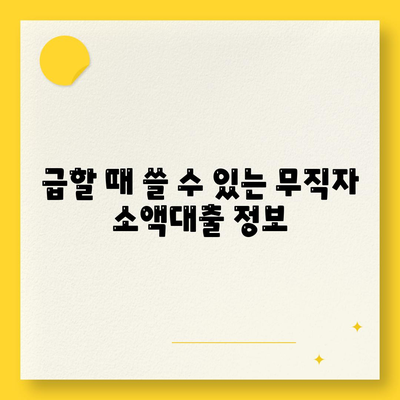 무직자 소액대출,비상금 조달을 위한 옵션