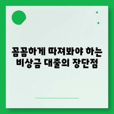 비상금 대출