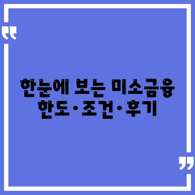 한눈에 보는 미소금융 한도·조건·후기