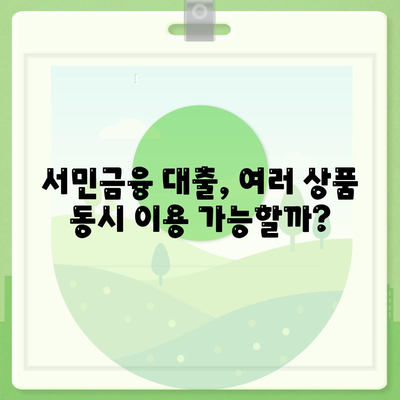 서민금융 대출, 중복 사용 가능할까요? 재신청은 어떻게? | 서민금융, 대출, 중복 사용, 재신청, 가이드