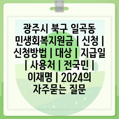 광주시 북구 일곡동 민생회복지원금 | 신청 | 신청방법 | 대상 | 지급일 | 사용처 | 전국민 | 이재명 | 2024