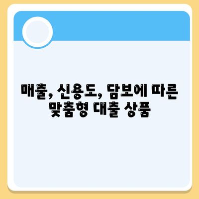 법인사업자 대출의 종류와 조건