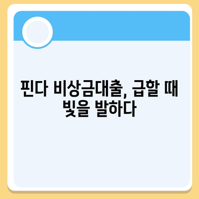 핀다 비상금대출 후기 바꿔주는 비상금