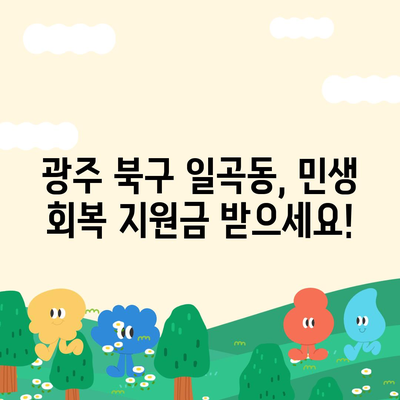 광주시 북구 일곡동 민생회복지원금 | 신청 | 신청방법 | 대상 | 지급일 | 사용처 | 전국민 | 이재명 | 2024