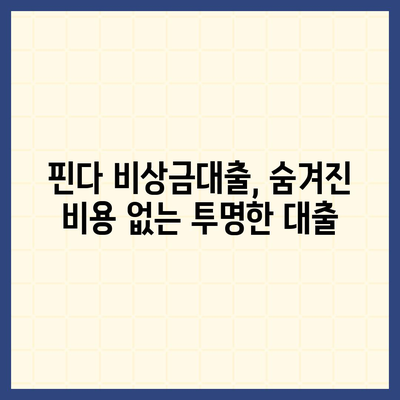 핀다 비상금대출 후기 바꿔주는 비상금