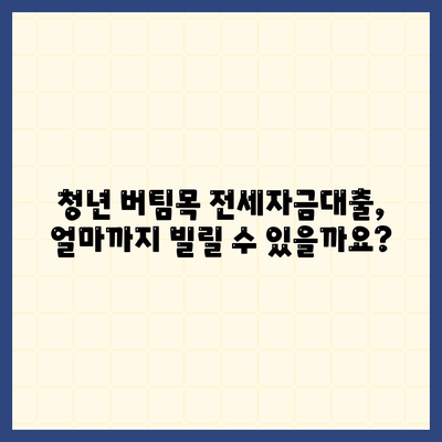 블랙 프라이데이 청년 버팀목 전세자금대출,조건과 금리 알아보기