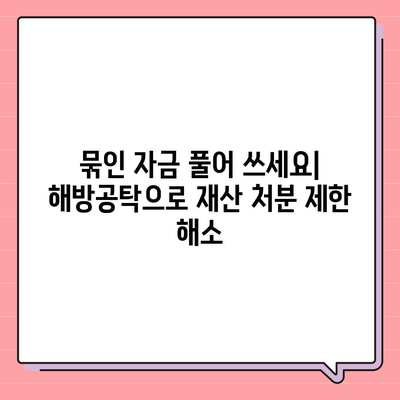 강제집행정지, 해방공탁, 가압류, 공탁금대출| 알아야 할 모든 것 |  법률 용어, 절차, 활용 가이드