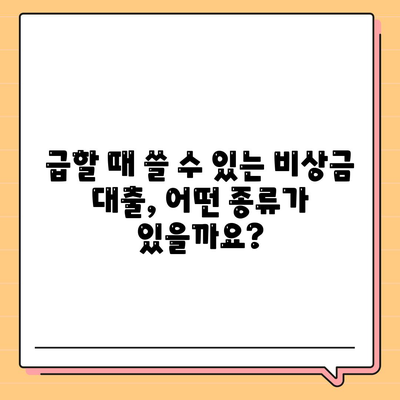 비상금대출 종류