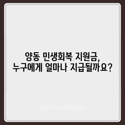 광주시 서구 양동 민생회복지원금 | 신청 | 신청방법 | 대상 | 지급일 | 사용처 | 전국민 | 이재명 | 2024