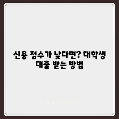 대학생 대출을 위한 신용 점수 요구 사항