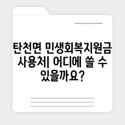 충청남도 공주시 탄천면 민생회복지원금 | 신청 | 신청방법 | 대상 | 지급일 | 사용처 | 전국민 | 이재명 | 2024