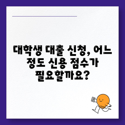 대학생 대출을 위한 신용 점수 요구 사항