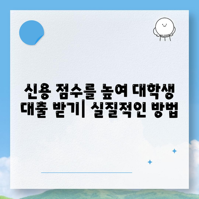 대학생 대출을 위한 신용 점수 요구 사항