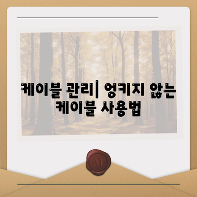 스마트폰 케이블 종류별 특징과 장단점