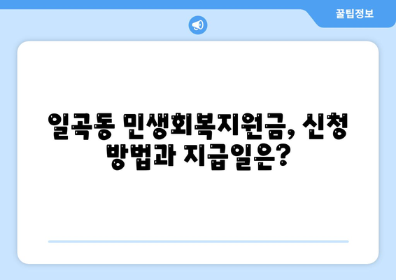 광주시 북구 일곡동 민생회복지원금 | 신청 | 신청방법 | 대상 | 지급일 | 사용처 | 전국민 | 이재명 | 2024