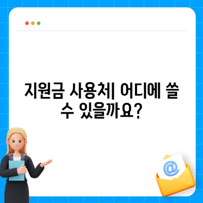 대구시 동구 신천4동 민생회복지원금 | 신청 | 신청방법 | 대상 | 지급일 | 사용처 | 전국민 | 이재명 | 2024