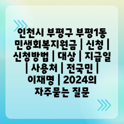 인천시 부평구 부평1동 민생회복지원금 | 신청 | 신청방법 | 대상 | 지급일 | 사용처 | 전국민 | 이재명 | 2024