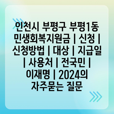 인천시 부평구 부평1동 민생회복지원금 | 신청 | 신청방법 | 대상 | 지급일 | 사용처 | 전국민 | 이재명 | 2024