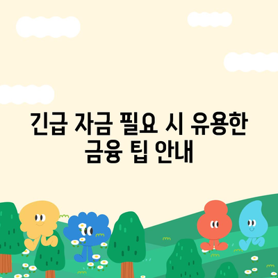 무직자를 위한 소액대출 비상금 가이드| 한도, 조건, 추천 기관 총정리 | 무직자 대출, 금융 팁, 긴급 자금