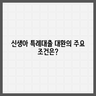 신생아 특례대출 대환, 누가 받을 수 있을까? | 대출 조건, 신청 방법, 유의사항