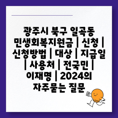 광주시 북구 일곡동 민생회복지원금 | 신청 | 신청방법 | 대상 | 지급일 | 사용처 | 전국민 | 이재명 | 2024