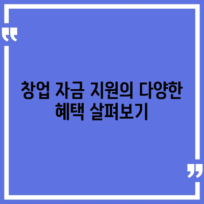 소상공인정책자금 미소 금융 창업 대출 완벽 가이드 | 소상공인, 창업 지원, 금융 팁