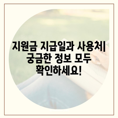 경기도 부천시 약대동 민생회복지원금 | 신청 | 신청방법 | 대상 | 지급일 | 사용처 | 전국민 | 이재명 | 2024