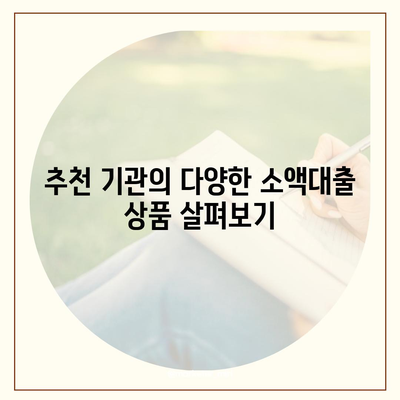 무직자를 위한 소액대출 비상금 가이드| 한도, 조건, 추천 기관 총정리 | 무직자 대출, 금융 팁, 긴급 자금