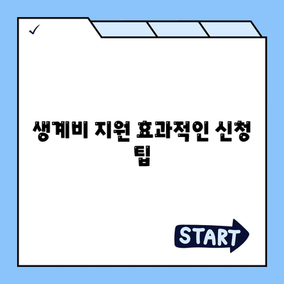 서민금융진흥원 소액 생계비 대출| 저신용자 맞춤 대환 및 특례보증 활용법 | 생계비 지원, 후기, 해결책