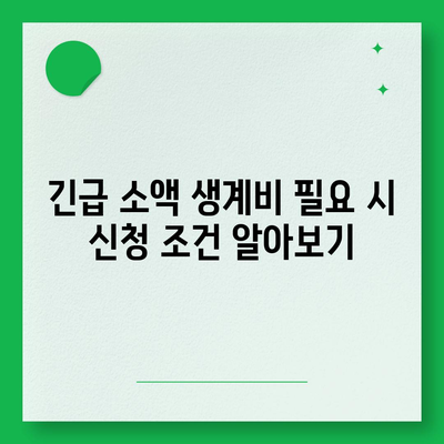 후순위 대출로 긴급 소액 생계비 대출 신청하는 방법 | 소액 대출, 생계비 지원, 금융 팁"