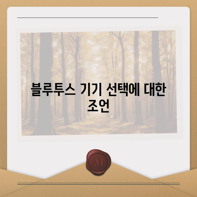 블루투스 헤드셋과 관련된 정보가 없는 경우, 