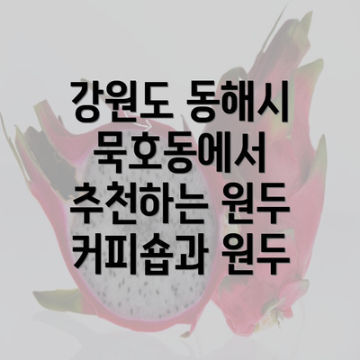 강원도 동해시 묵호동에서 추천하는 원두 커피숍과 원두