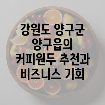 강원도 양구군 양구읍의 커피원두 추천과 비즈니스 기회