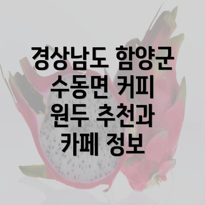 경상남도 함양군 수동면 커피 원두 추천과 카페 정보