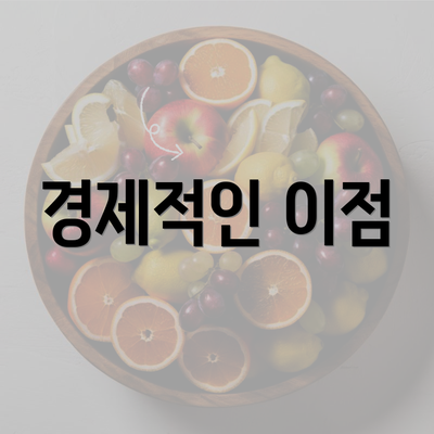 경제적인 이점