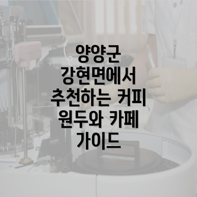 양양군 강현면에서 추천하는 커피 원두와 카페 가이드