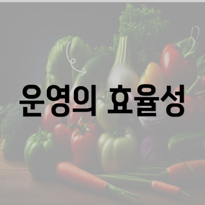 운영의 효율성