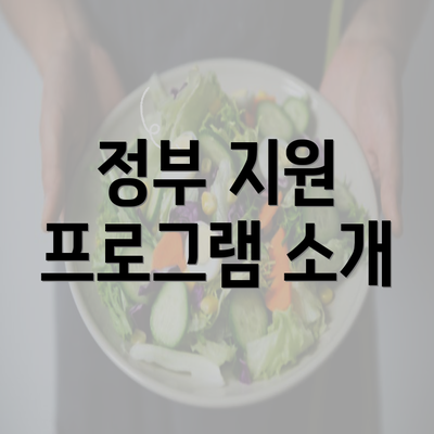 정부 지원 프로그램 소개