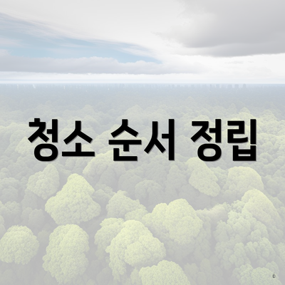 청소 순서 정립