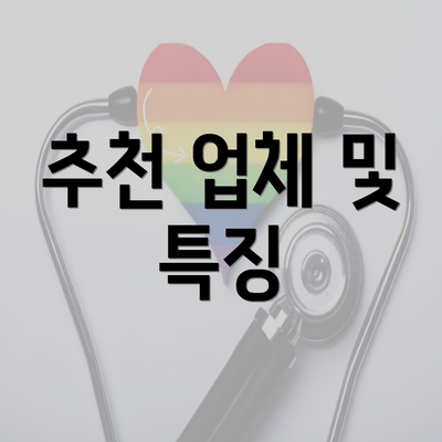 추천 업체 및 특징